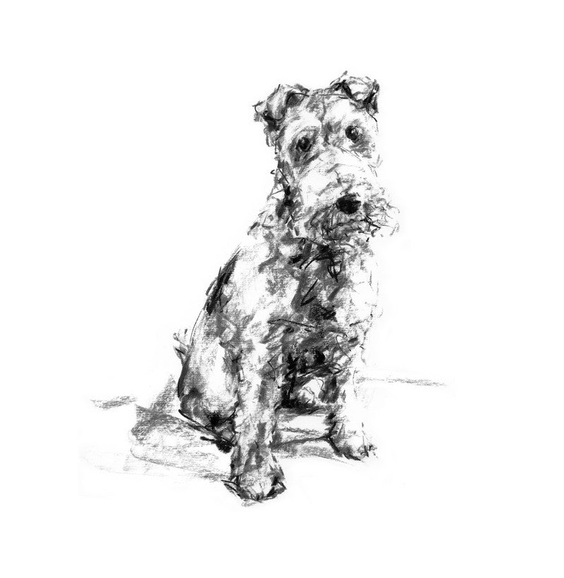 Scamp - Pack of Correspondence Cards